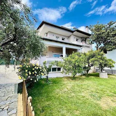 Violetta Agios Andreas (East Macedonia)