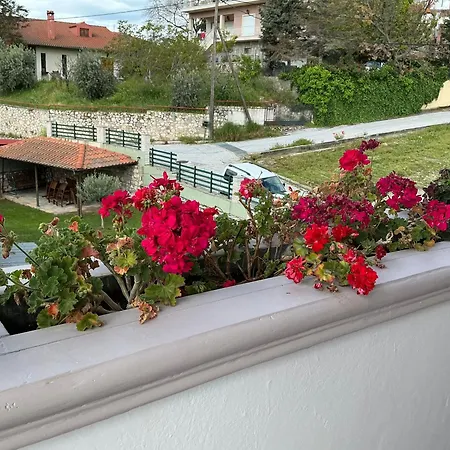 Tatil Evi Violetta *