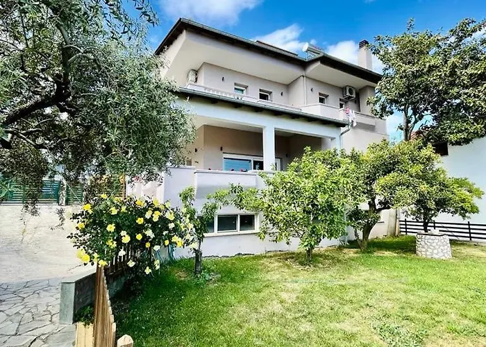 Violetta Agios Andreas (East Macedonia)